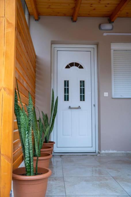 Areston Hersonisos Apartment ヘルソニソス エクステリア 写真